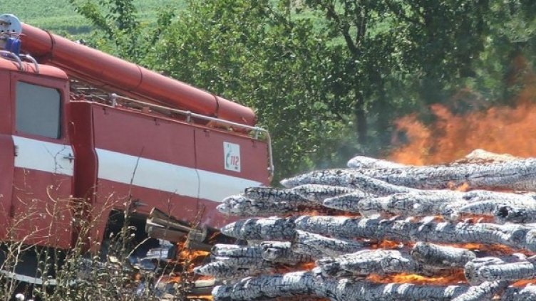 Снимка: Булфото, архив