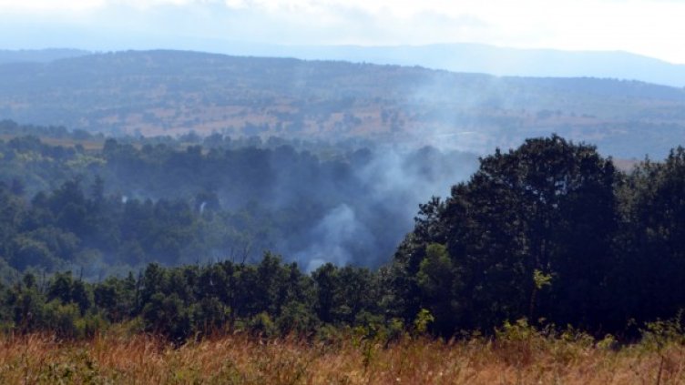 Снимка: БТА, архив