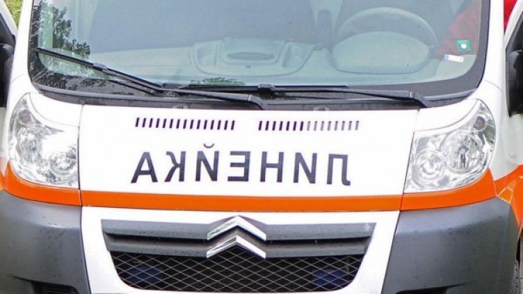 Снимка: Булфото