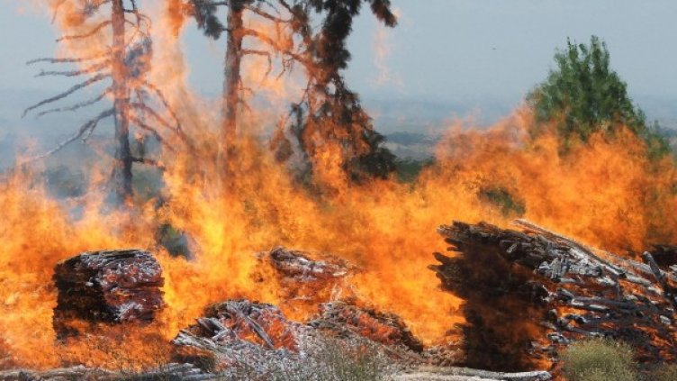 Снимка: архив Булфото