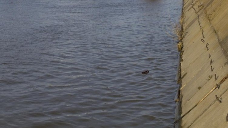 Снимка: Булфото, архив