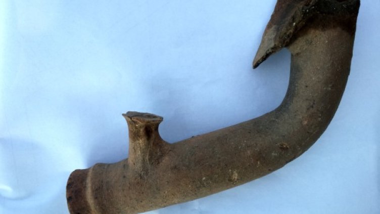 Снимка: НИМ