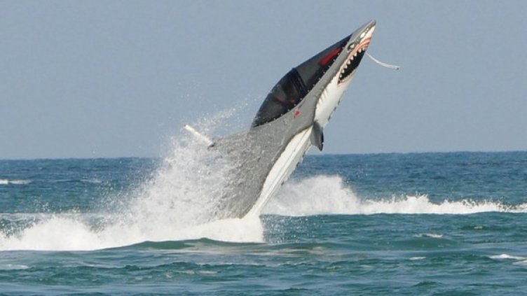 Снимка: Булфото, ахрив