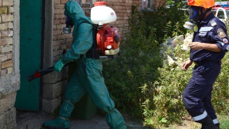 Бик със съмнение за антракс умря в с. Млада гвардия