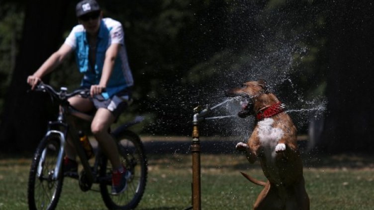 Снимка: БТА, архив