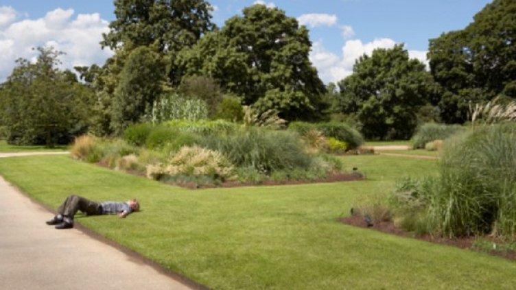 Снимка: Gettyimages