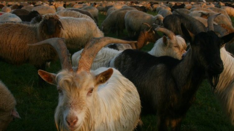 Снимка: Reuters, архив