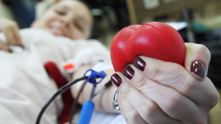 Снимка: Impact Press Group