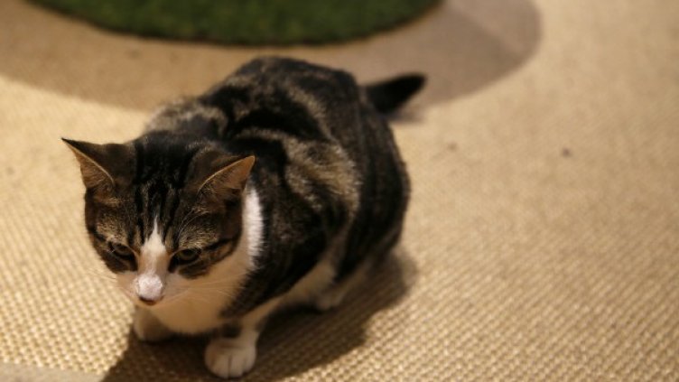 Снимка: Reuters, архив