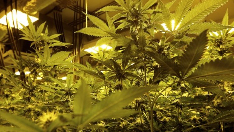 Снимка: архив, Ройтерс