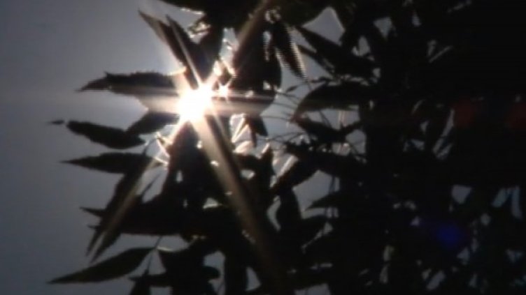 Снимка: Bulgaria On Air