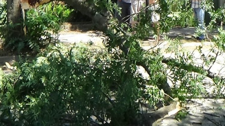 Снимка: Булфото