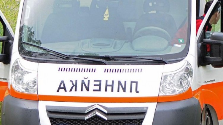 Снимка: Булфото, ахрив