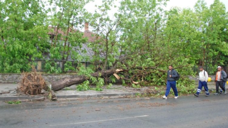 Снимка: архив Булфото