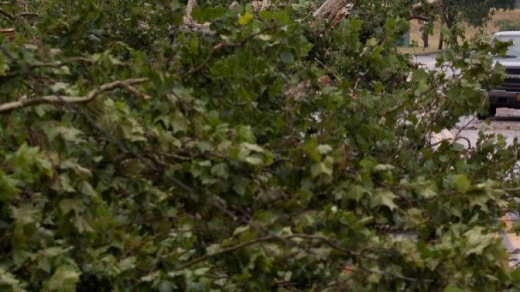 Снимка: архив, Reuters