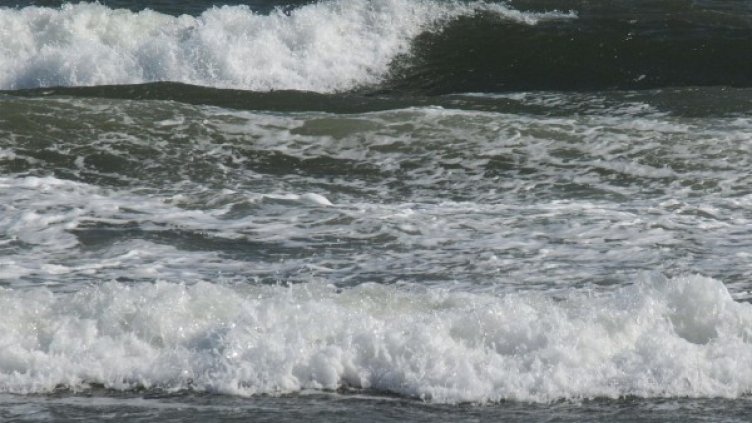 Снимка: архив, Булфото