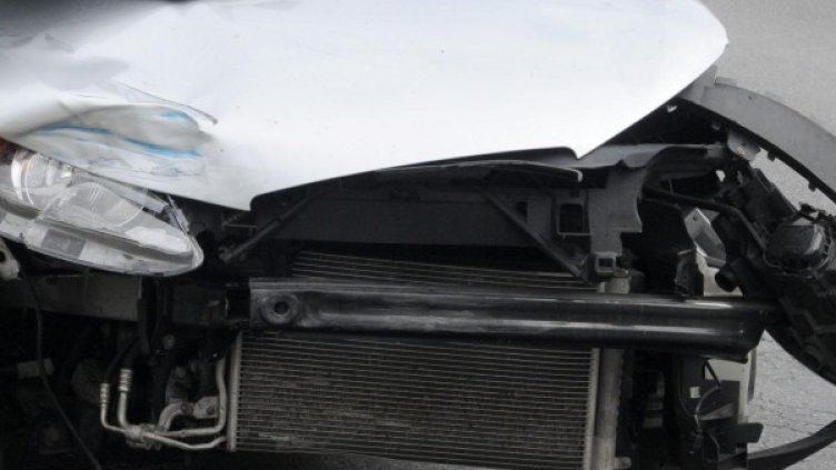 Снимка: архив Булфото