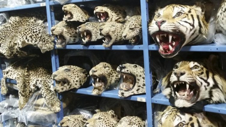 Снимка:  Reuters, архив