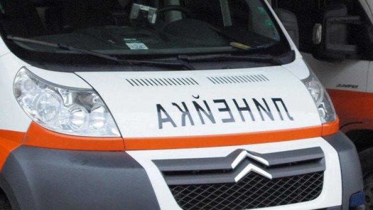 Снимка: архив Булфото