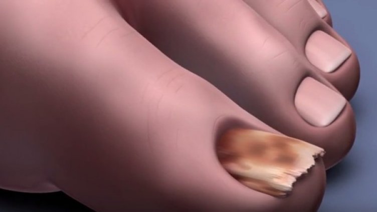 Снимка: YouTube