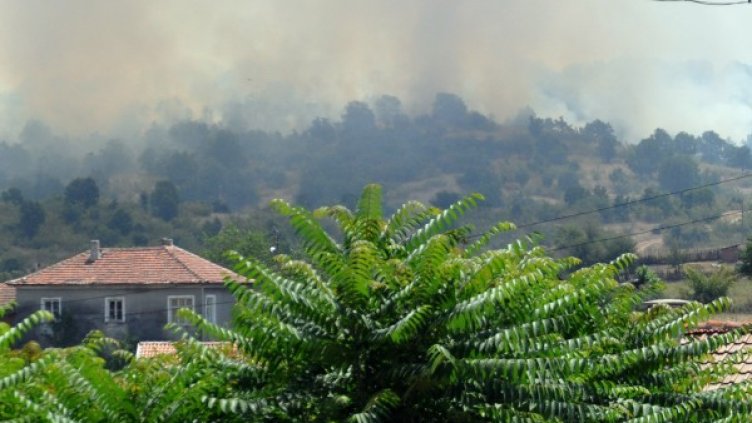 Снимки: БТА, архив