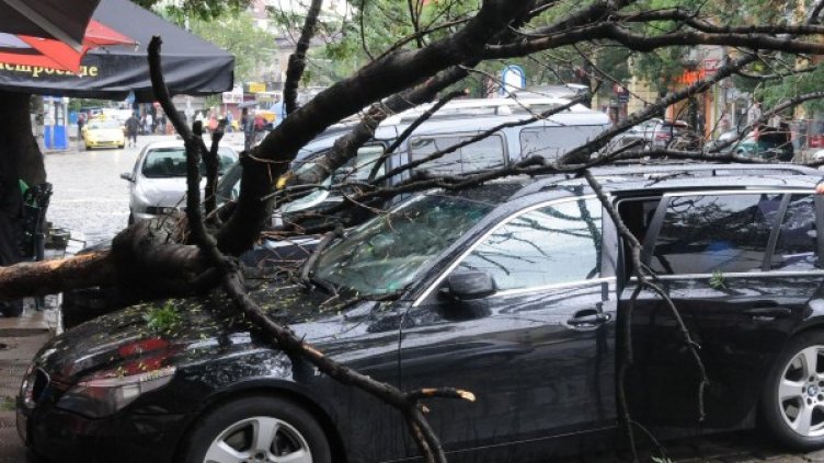 Снимка: Булфото