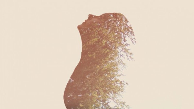 Снимка: Беглика фест