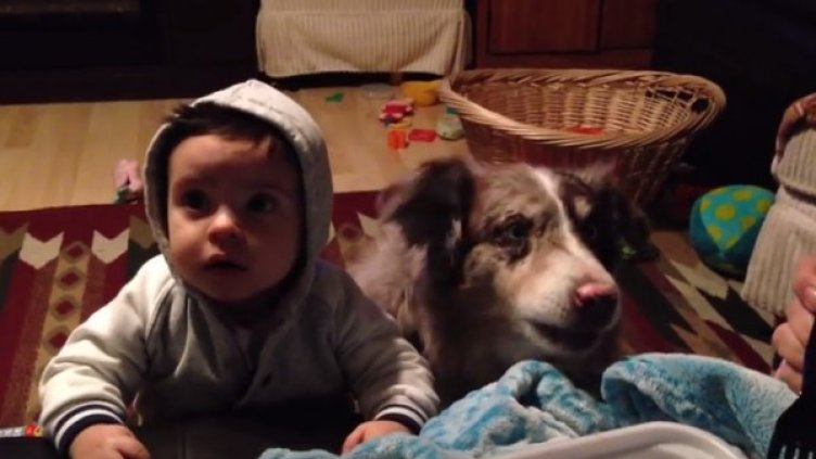 Снимка: YouTube