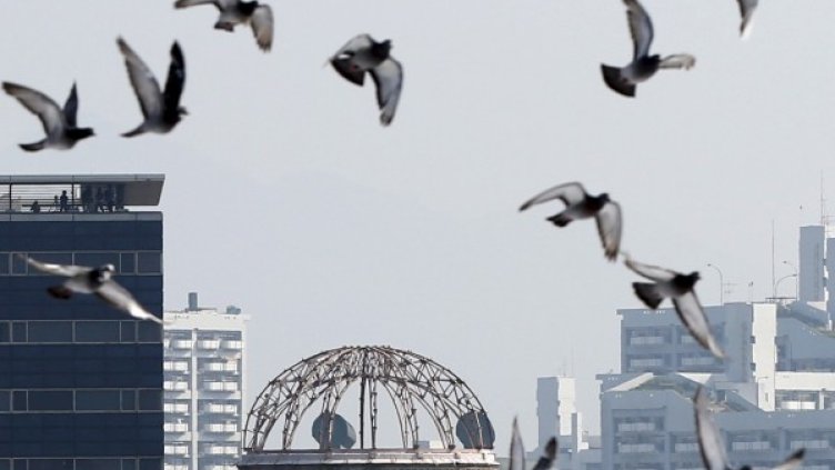 Гълъби прелитат над Мемориал за атомната бомба в Хирошима Снимка: Reuters