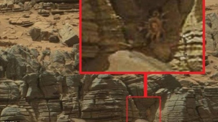 Снимка: Dailymail