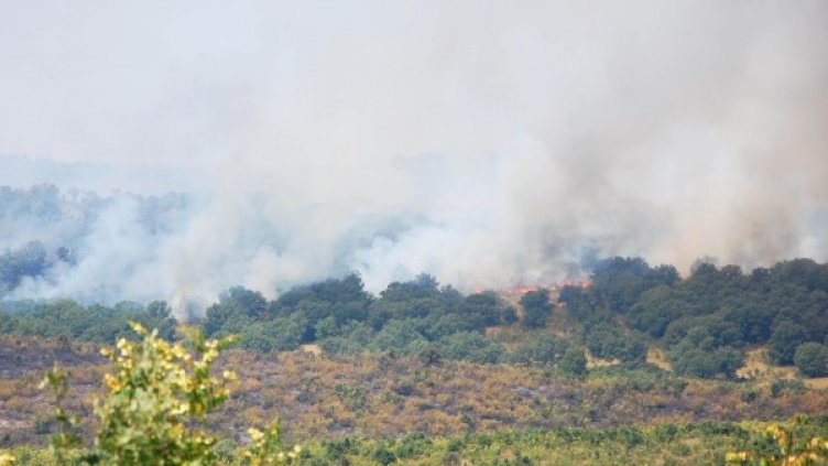 Снимка: Архив Булфото