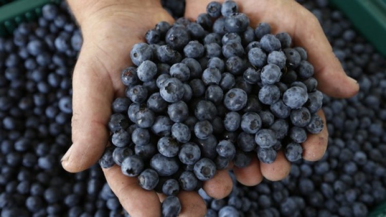 Снимка: архив, Reuters