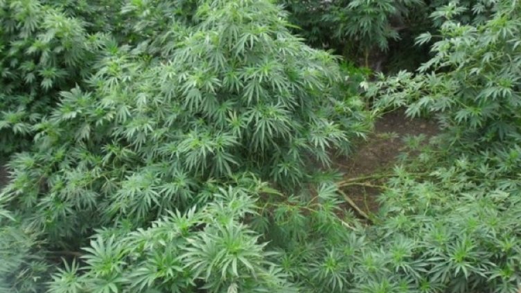 Снимка: МВР