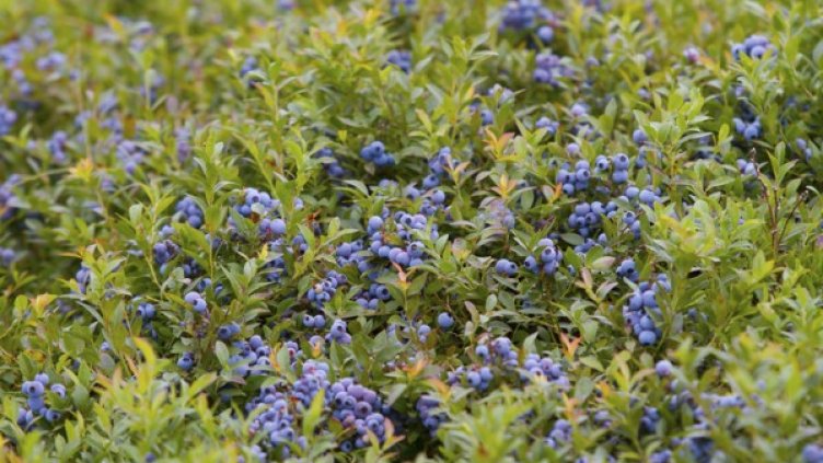 Снимка: архив, Reuters