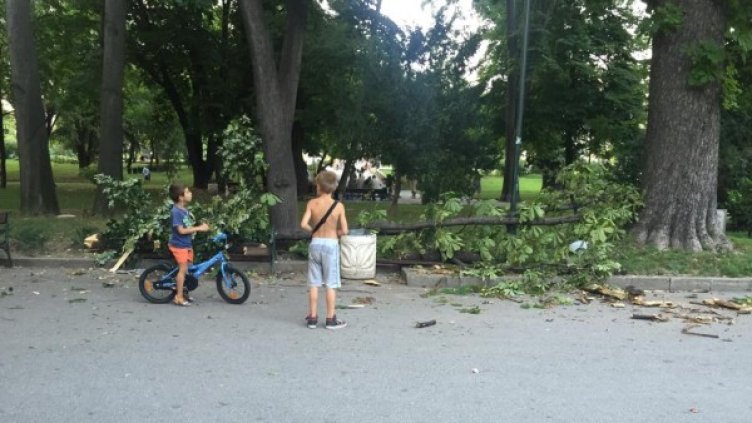 Снимка: Dnes.bg