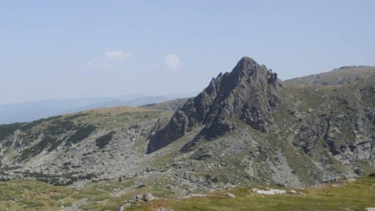 Снимка: Булфото