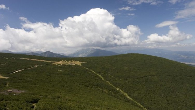 Снимка: архив Булфото