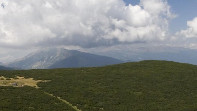 Снимка: архив Булфото