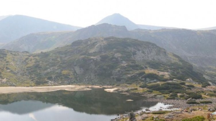 Снимка: архив Булфото