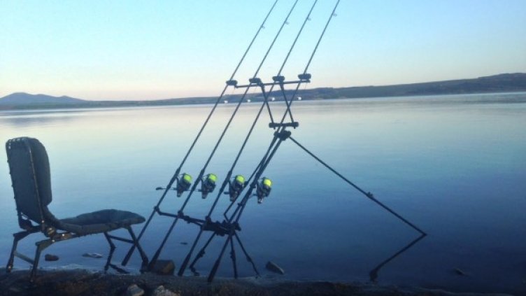 Снимки: Dnes.bg
Тома Недялков, GoGoFish