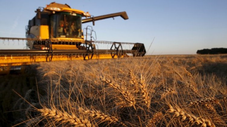 Земята на Украйна – спасително съкровище