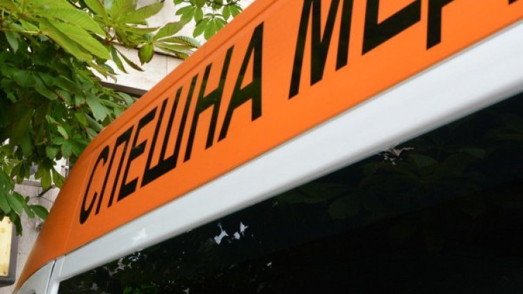 Снимка: архив Булфото