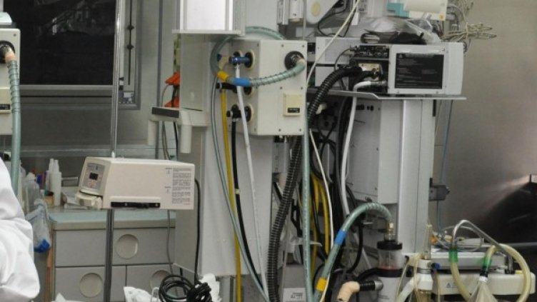 Снимка: архив, БулФото