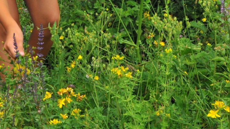 Снимка: БТА, архив