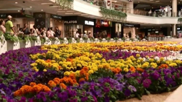 Снимка: bgonair.bg