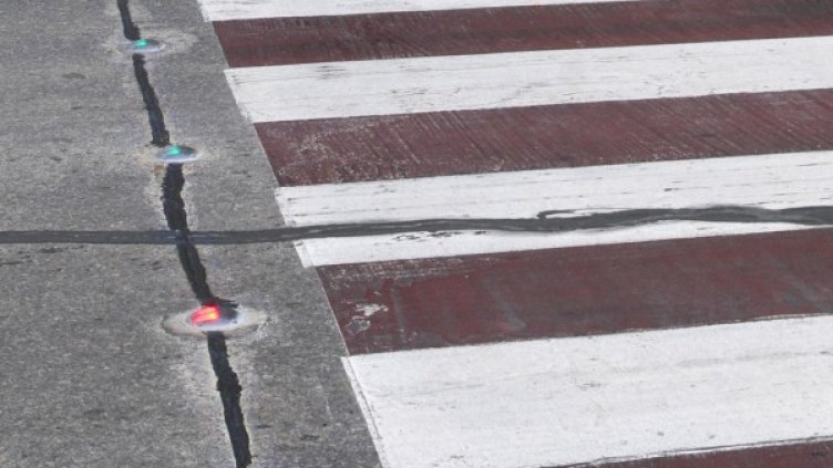 Снимка: архив Булфото