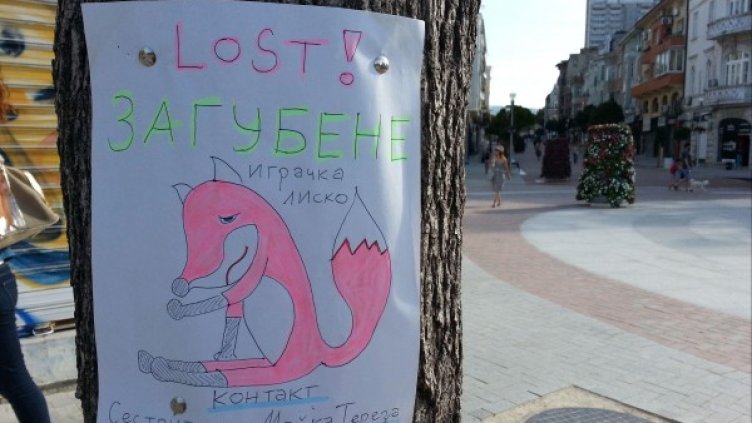 Снимка: Булфото