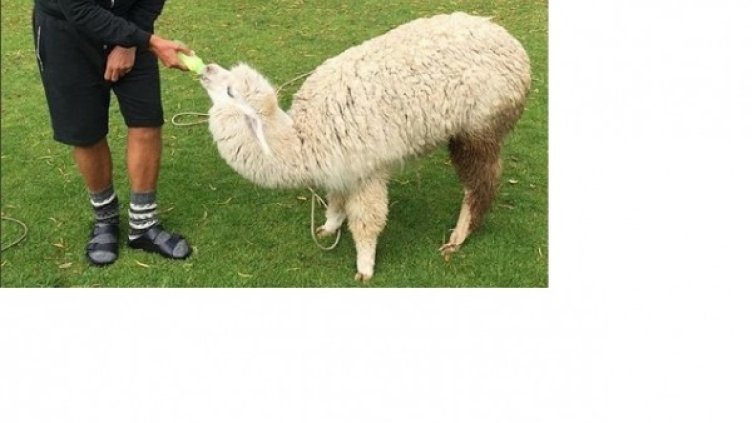 снимка: Instagram