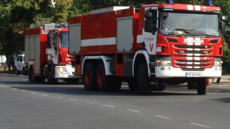 Снимка: Булфото, архив