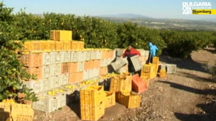 Снимка: bgonair.bg